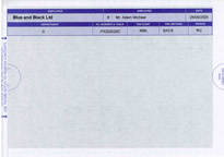 Iris Security Payslips 